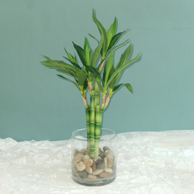 New 40cm rFtificial Lucky Bamb - Desktop Organizer Bamboo 评论和价格