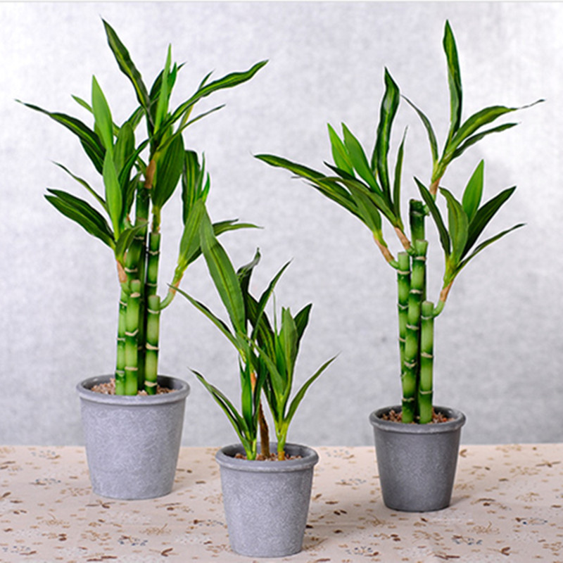 New 40cm rFtificial Lucky Bamb - Desktop Organizer Bamboo 评论和价格