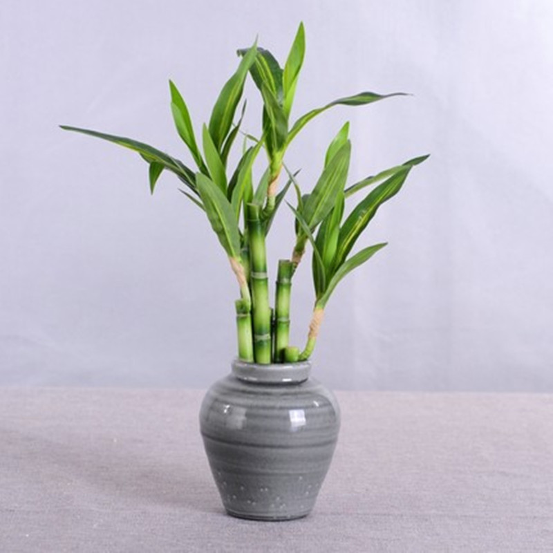 New 40cm rFtificial Lucky Bamb - Desktop Organizer Bamboo 评论和价格
