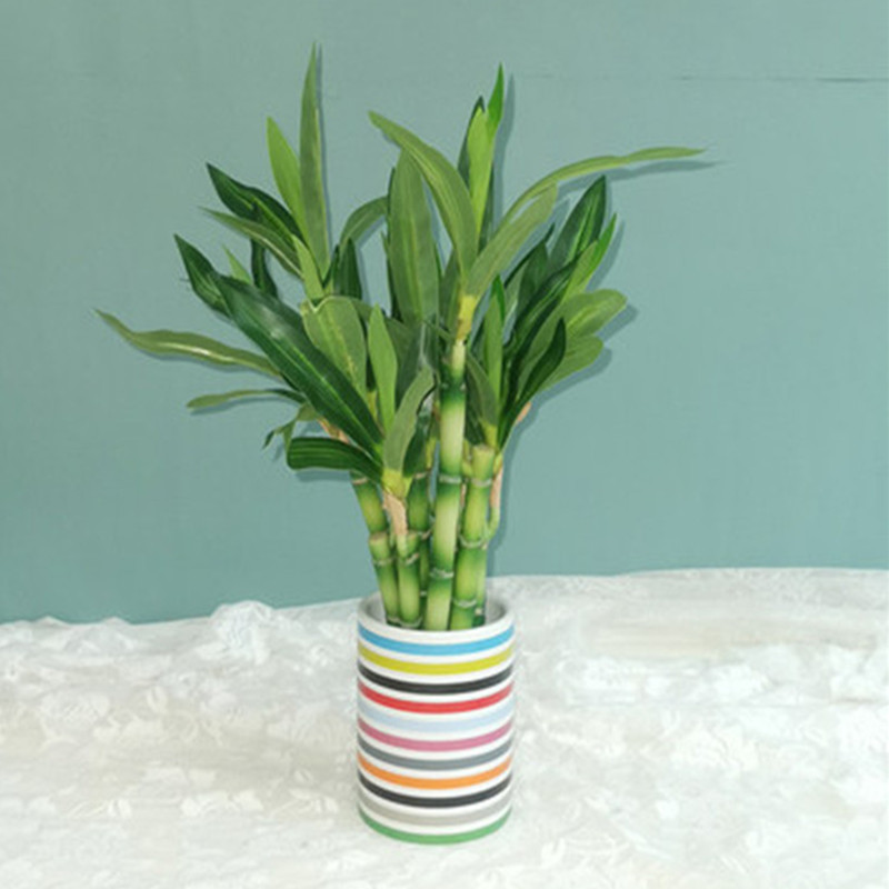New 40cm rFtificial Lucky Bamb - Desktop Organizer Bamboo 评论和价格